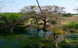  Zip line 